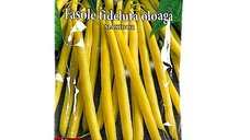 Fasole Fideluta Oloaga Galbena Maxidor 100g - Prima Sementi