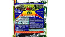 Fungicid Zeama Bordeleza MIF 100 gr - Mifalchim pentru protectia plantelor