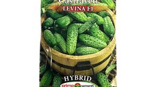 Seminte de castraveti cornichon Levina F1, 10 g - Prima Sementi