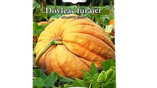 Seminte de dovleac furajer Atlantic Gigant, 1 g - Prima Sementi