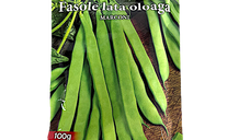 Seminte de fasole oloaga verde Marconi, 100 g, Prima Sementi