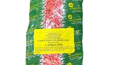 Seminte de fasole pitica Cannelino, boabe albe, 1 kg