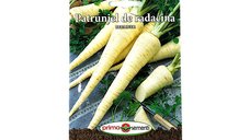 Seminte de Patrunjel Radacina Berliner - Prima Sementi