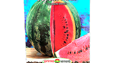 Seminte de pepene verde Crimson Sweet, 2 g, Prima Sementi