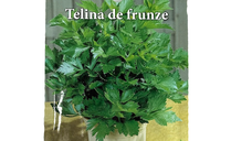 Seminte de telina de frunze 1,5 gr, Prima Sementi - Verde proaspat