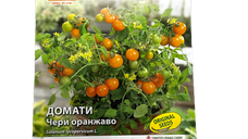 Seminte de tomate Cherry portocalie 0,2 gr, OpalZi Bulgaria