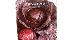 Seminte de varza rosie Tete Noire 5g - Prima Sementi
