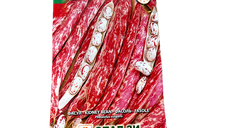 Seminte fasole urcatoare rosie lata Lampo 40g - OpalZi Bulgaria