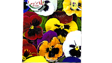 Seminte flori Panselute/Viola Mix 0,2 gr - OpalZi Bulgaria