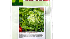Seminte salata de capatana Hilde 10 gr, Holland - Soi timpuriu