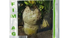 Seminte Sfecla Furajera Ursus Poly 30g - Mefim Agro