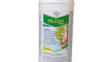 Teldor 500SC 1L, fungicid de contact si sistemic local, Bayer, putregai cenusiu (vita de vie, legume, capsun, flori ornamentale), monilioza (pomi fructiferi)