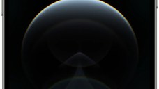 Apple iPhone 12 Pro Max 256 GB Silver Excelent