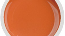 Cover color gel fsm 017