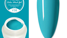 Gel color mud series venalisa v38