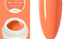 Gel color mud series venalisa v46