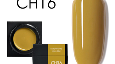 Mud series color gel CANNI CH16