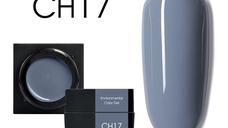 Mud series color gel CANNI CH17