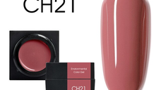 Mud series color gel CANNI CH21