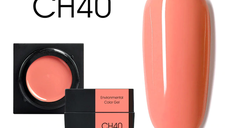 Mud series color gel CANNI CH40