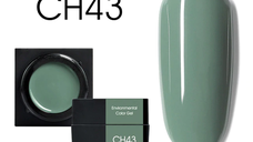 Mud series color gel CANNI CH43