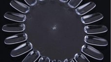 Paletar expunere culori 20 pozitii transparent