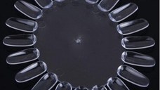 Paletar expunere culori 20 pozitii transparent