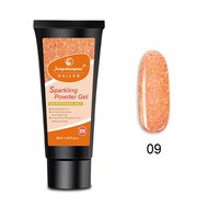 Polygel FSM Sparkling- 09 - SPK-01 - 1