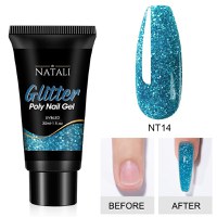 Polygel Glitter Natali NT14 30gr - NT06 - Everin - 1
