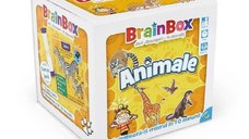 BrainBox - Animale (RO)