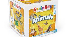 BrainBox - Animale (RO)