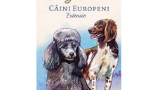 Dog Park - Extensie Caini Europeni (RO)