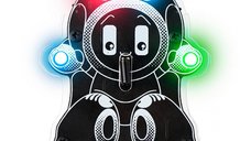 Kit robotica STEM - Robby