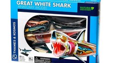 Set educativ Anatomia animalelor: Rechinul Alb