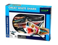 Set educativ Anatomia animalelor: Rechinul Alb - 1