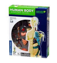 Set educativ STEM - Anatomia corpului uman - 1
