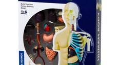 Set educativ STEM - Anatomia corpului uman