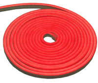 Banda LED flexibila ROSIE 5M NEON 12V - 1