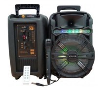 Boxa portabila 80W KTS-1176 cu Microfon - 1