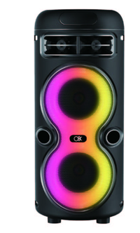 Boxa portabila cu microfon BT 2446 de 4 x 2 inch - 1