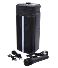 Boxa Portabila Karaoke ZQS-4242 USB Bluetooth Radio FM cu Microfon - 1