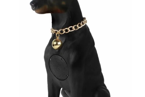 Boxa portabila wireless cu bluetooth si microfon tip doberman 10W CH M210M