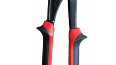 Cleste tip papagal 12