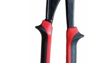 Cleste tip papagal 12
