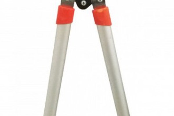 Foarfeca extensibila pentru crengi din aluminiu 67 - 98 cm LIDER MX326