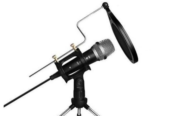 Microfon Profesional de inregistrare vocala si Karaoke pentru Studio WG 500II