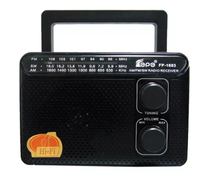 Radio portabil ROTOSONIC FP-1603 cu 3 benzi - 1