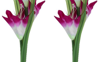 Set 2 lampi solare pentru gradina model FLOARE colorata