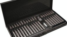 Trusa 41 biti torx Rico profesional