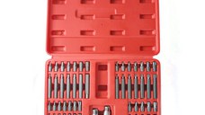 Trusa 54 BITI H10 si Torx